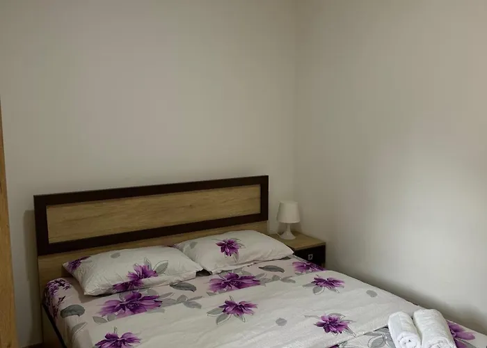 Olimp Апартаменты Сокобаня