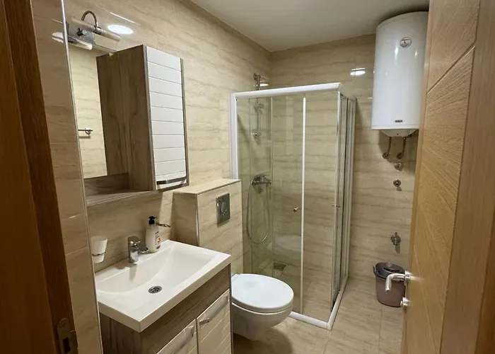 Olimp Апартаменты Сокобаня